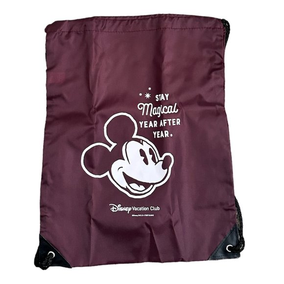 Disney Vacation Club Backpack - Picture 1 of 2